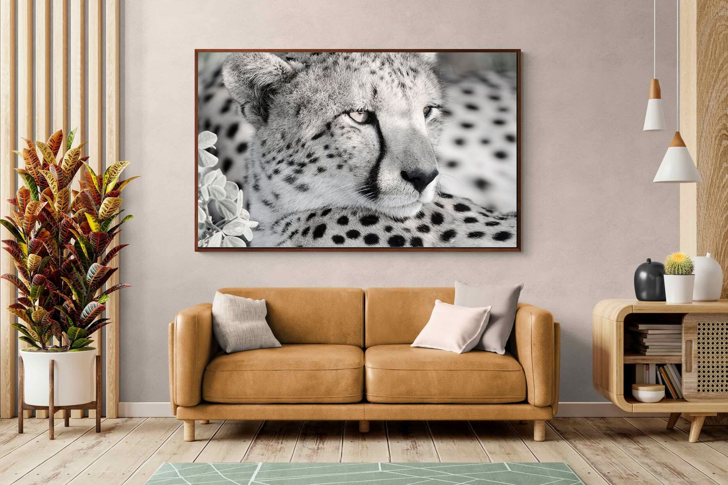 Pixalot Cheetah Glare