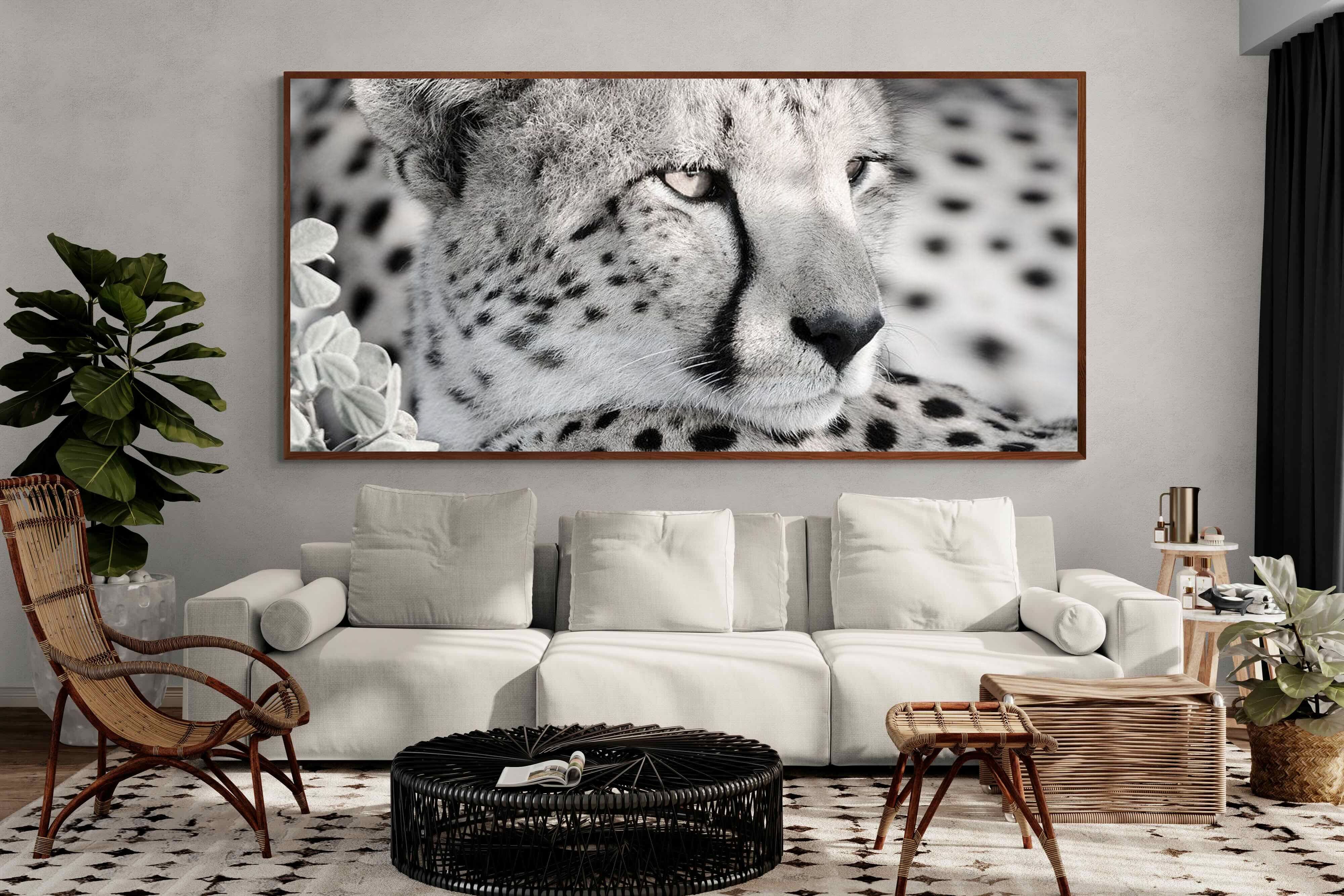 Pixalot Cheetah Glare