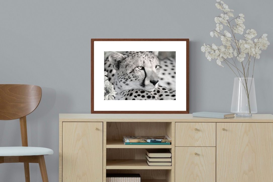 Pixalot Cheetah Glare