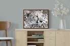 Pixalot Cheetah Glare