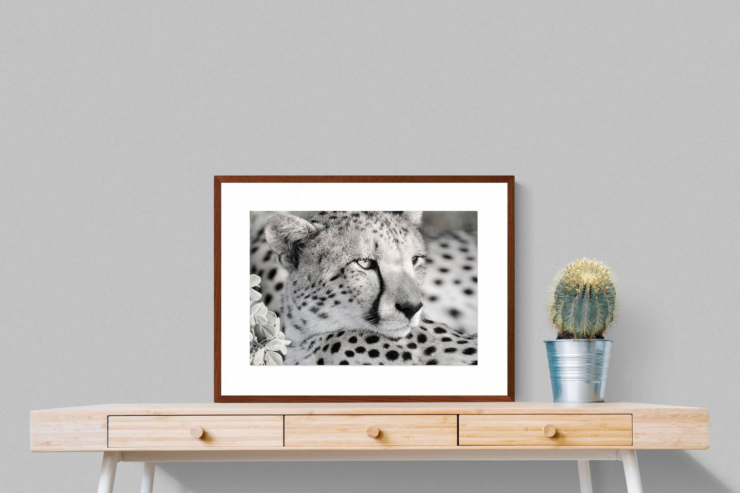 Pixalot Cheetah Glare