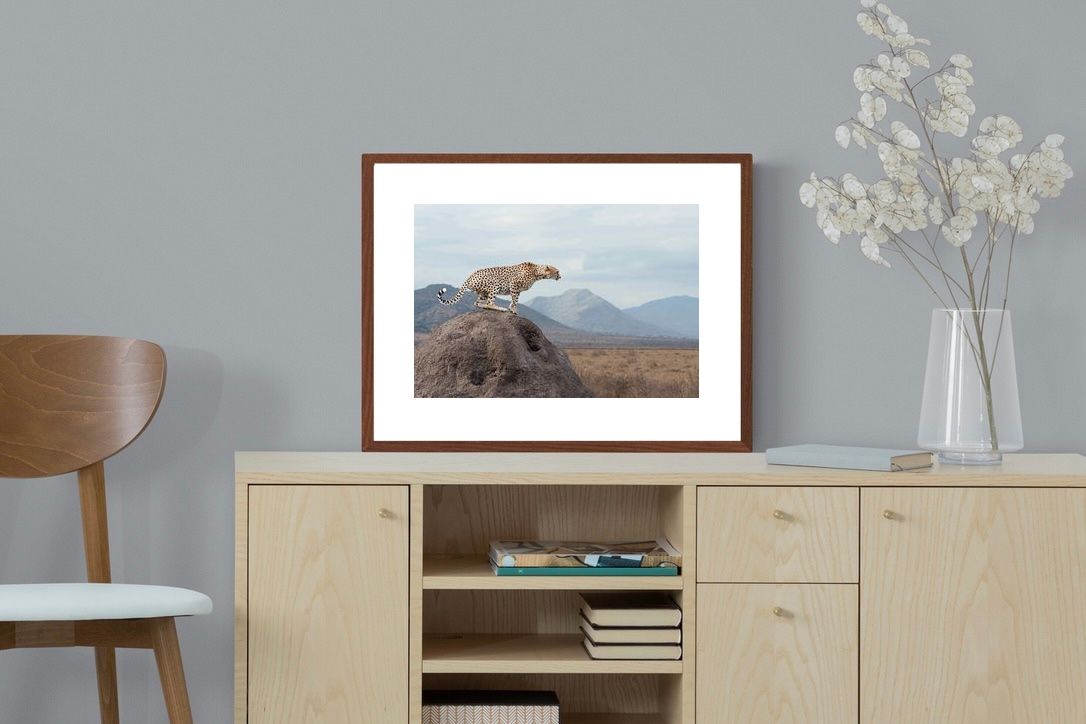 Pixalot ® Cheetah