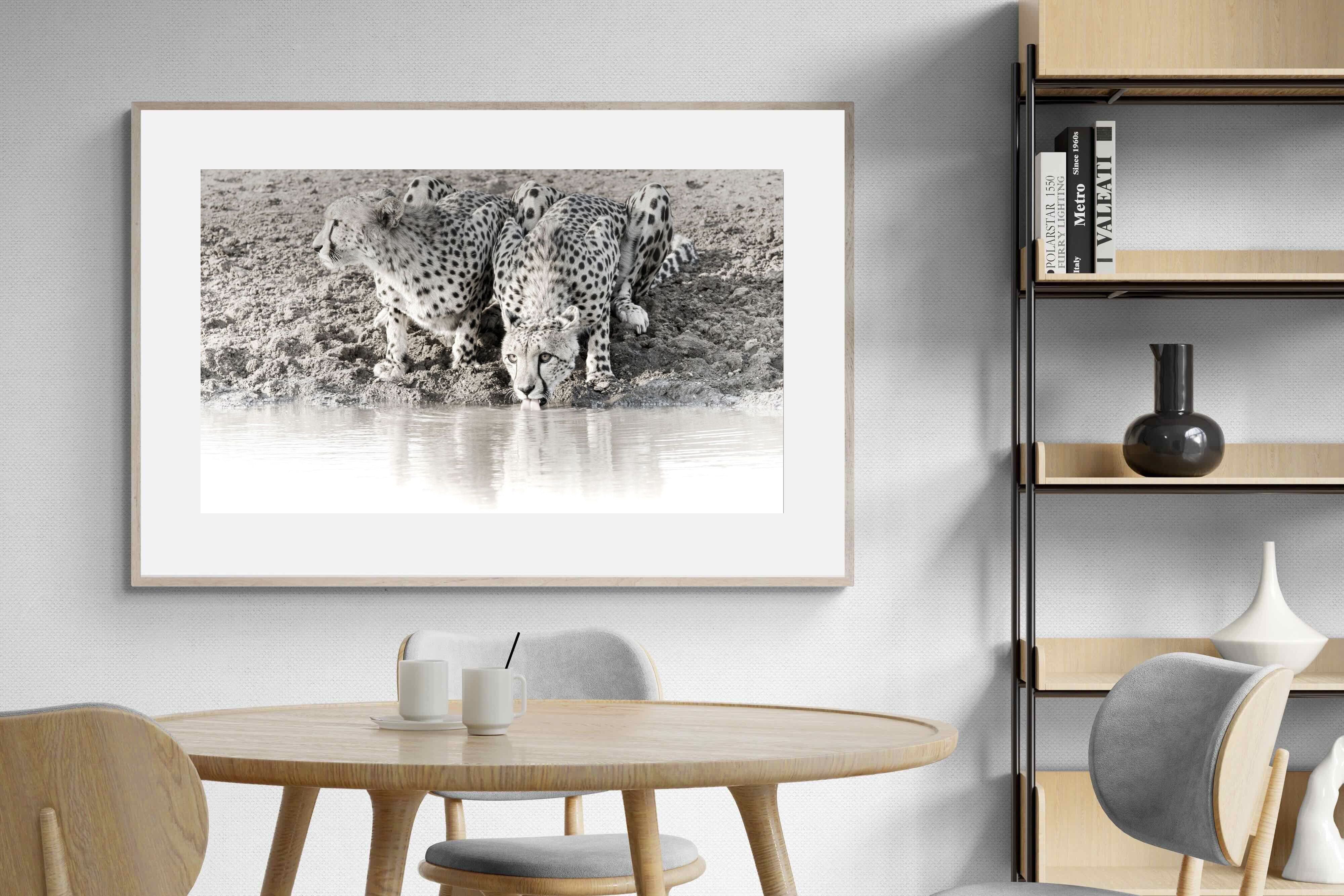 Pixalot Cheetah Sisters