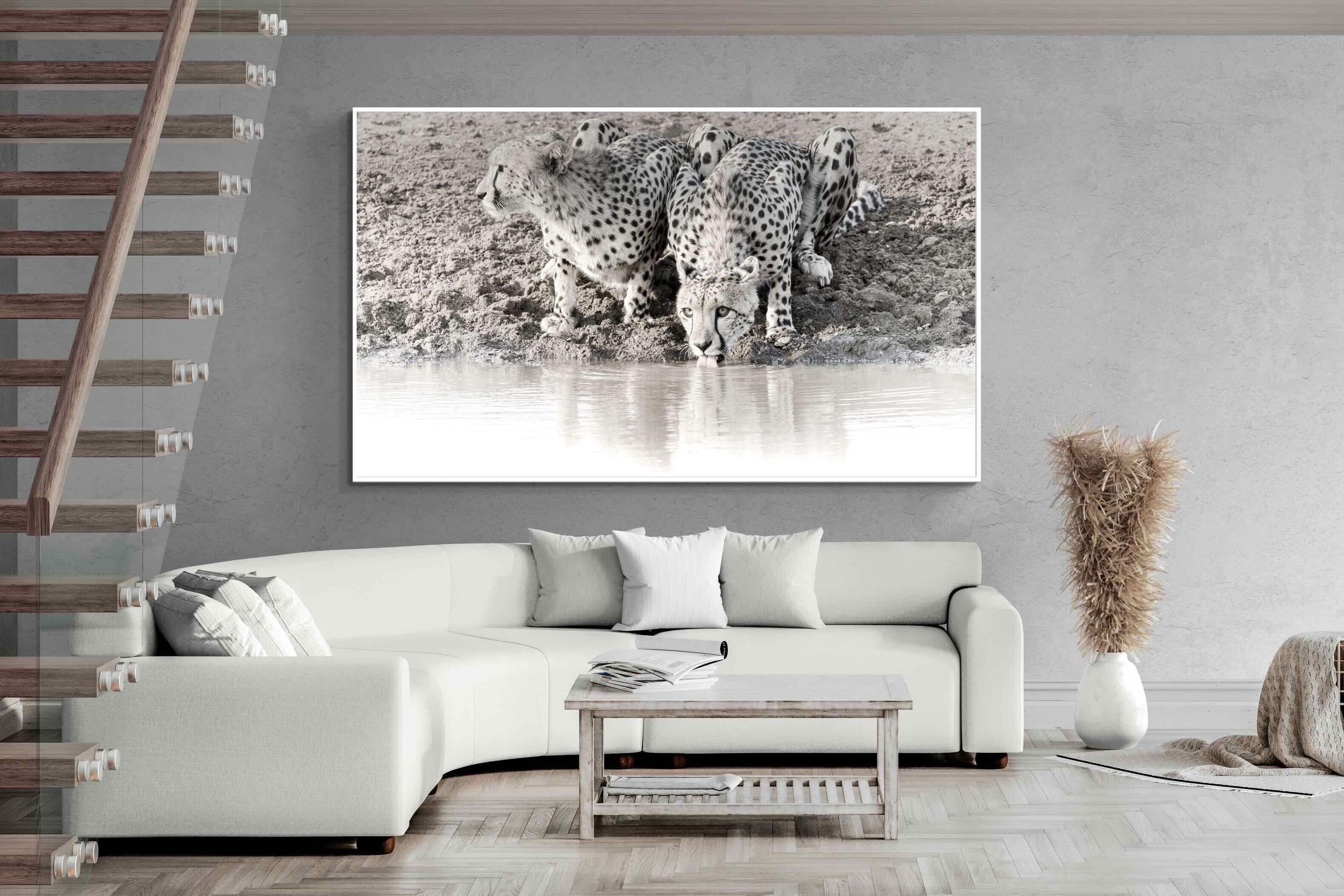 Pixalot Cheetah Sisters