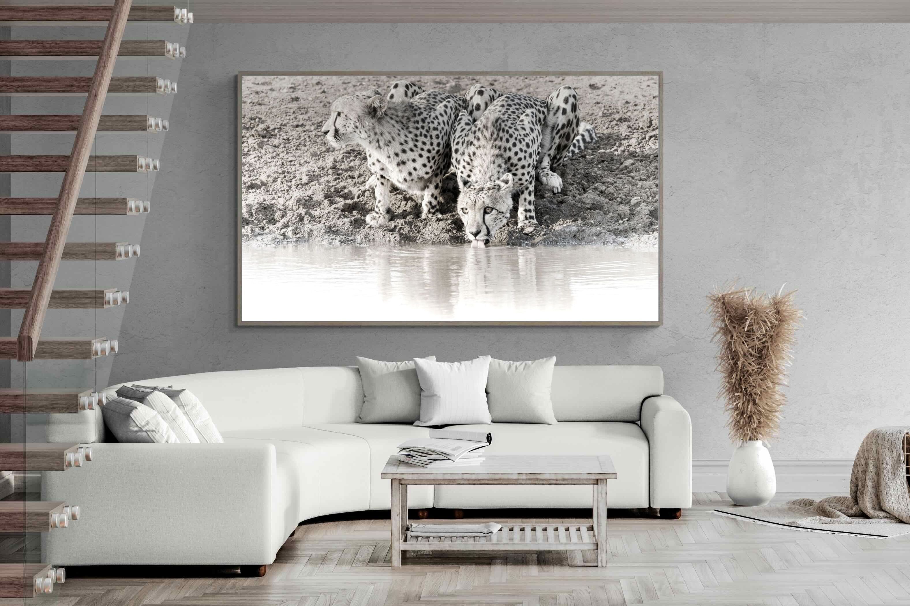 Pixalot Cheetah Sisters