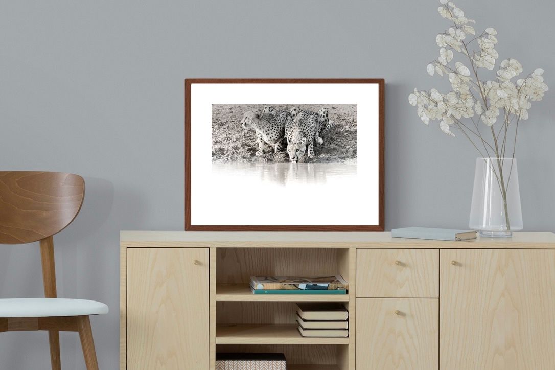 Pixalot Cheetah Sisters