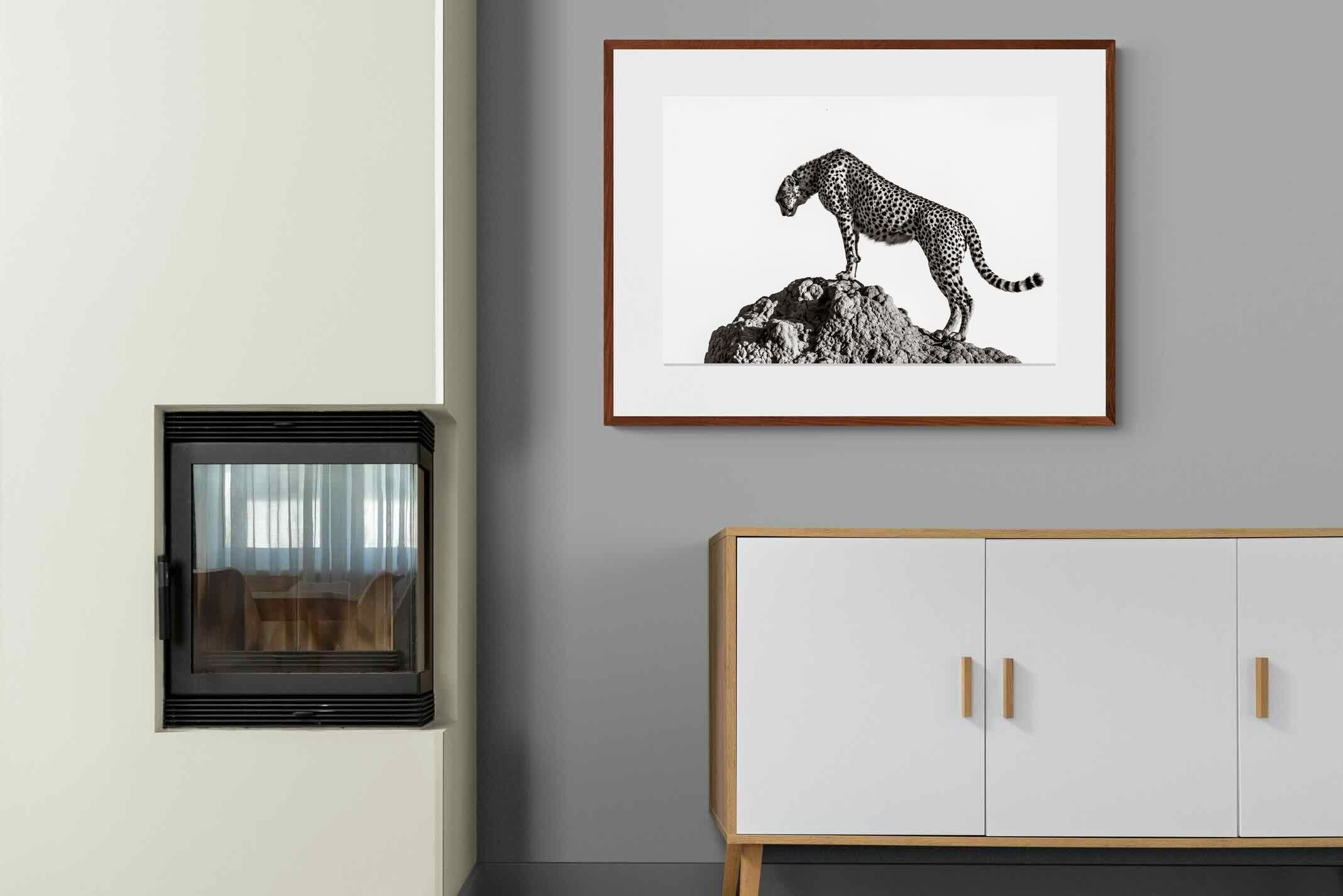 Pixalot ® Cheetah's Outlook