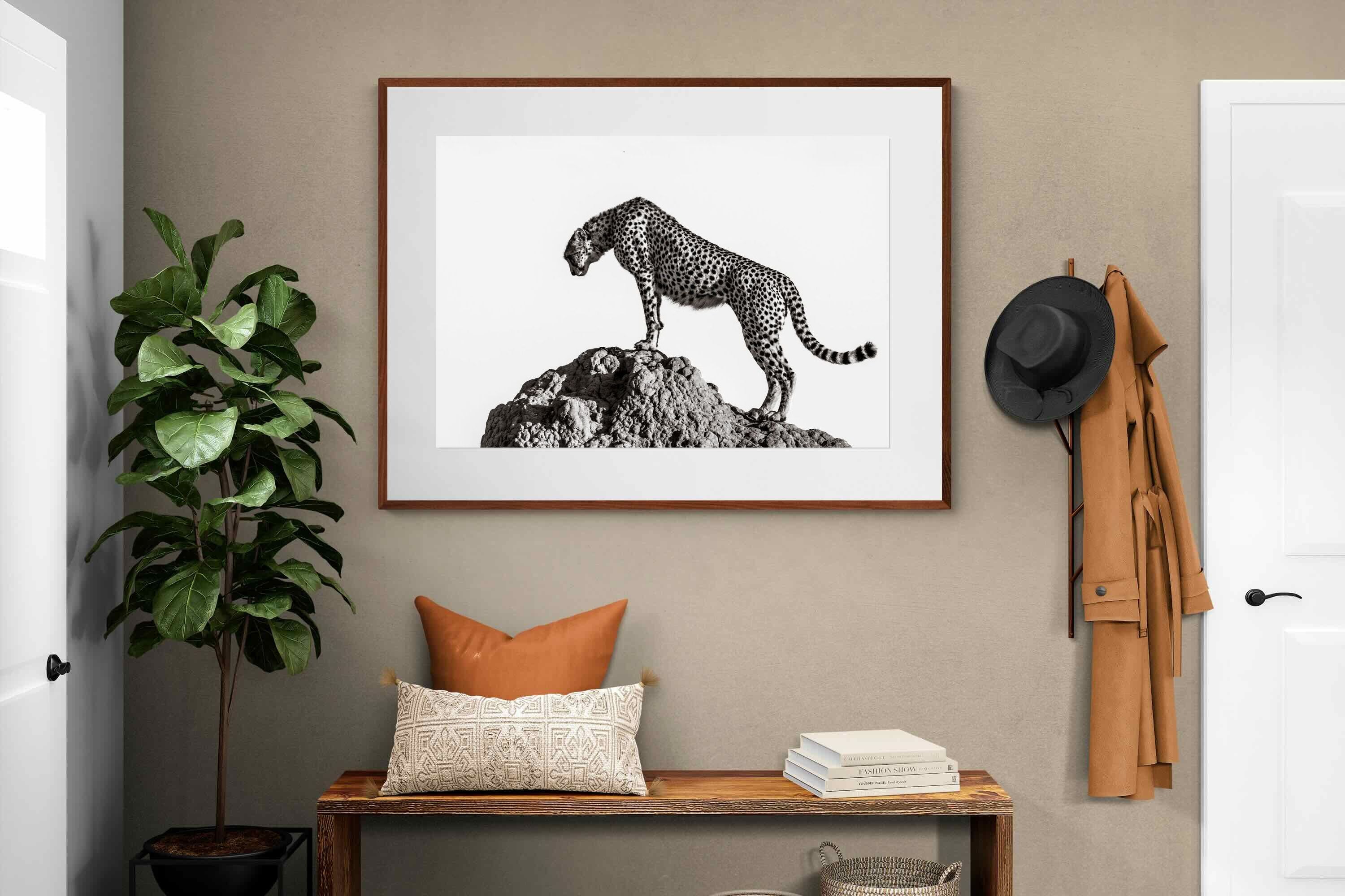Pixalot ® Cheetah's Outlook
