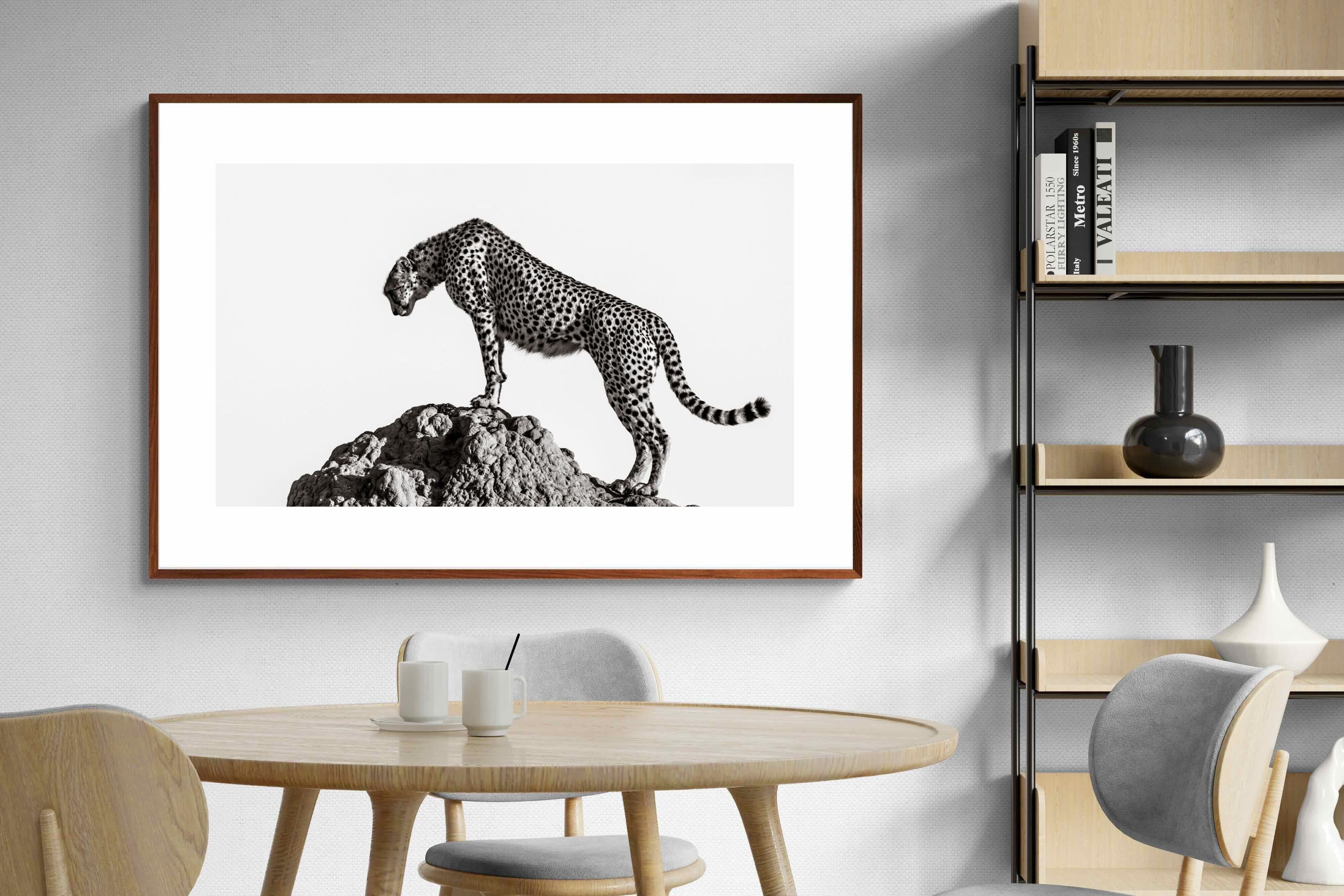 Pixalot ® Cheetah's Outlook