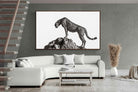 Pixalot ® Cheetah's Outlook