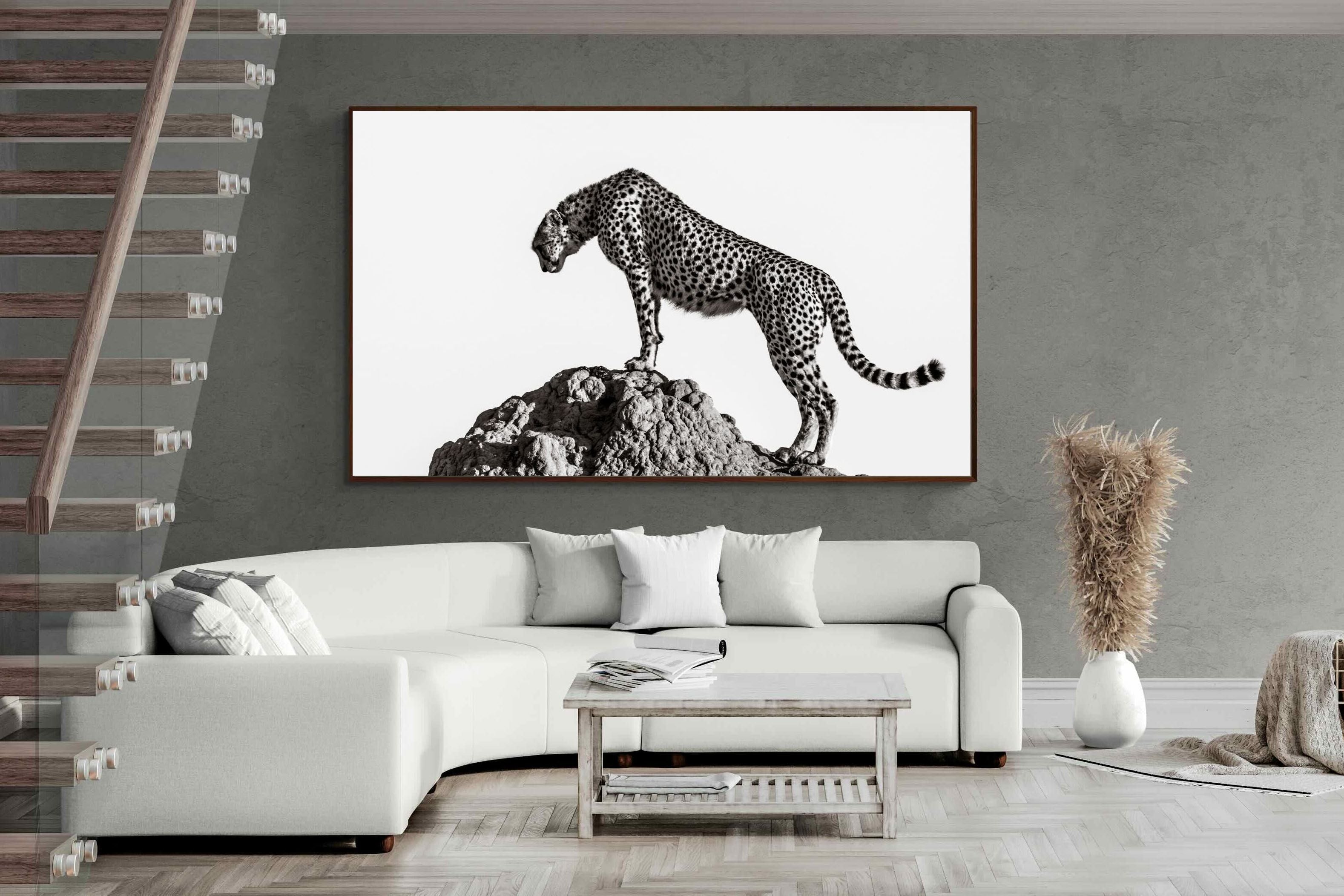 Pixalot ® Cheetah's Outlook