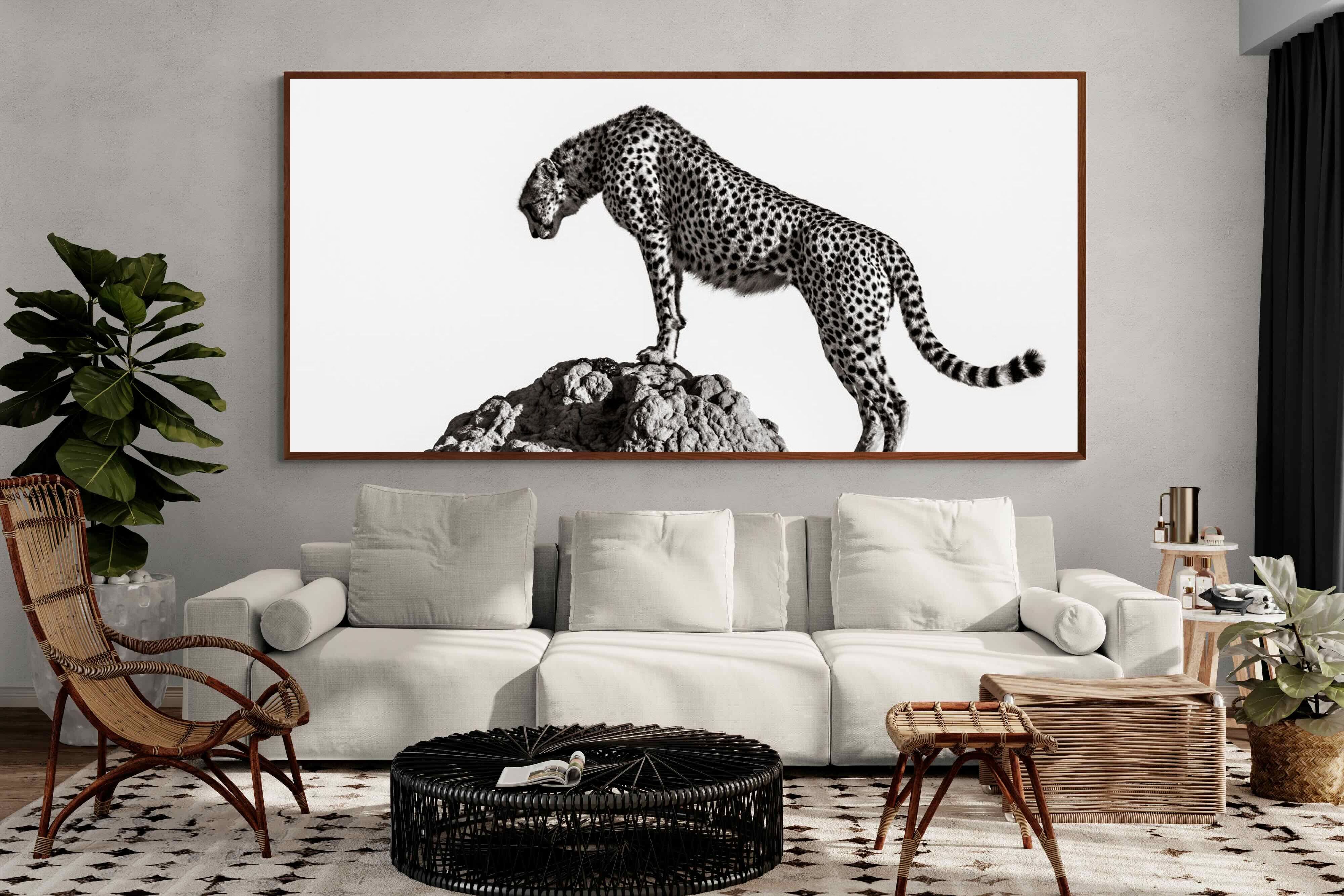 Pixalot ® Cheetah's Outlook