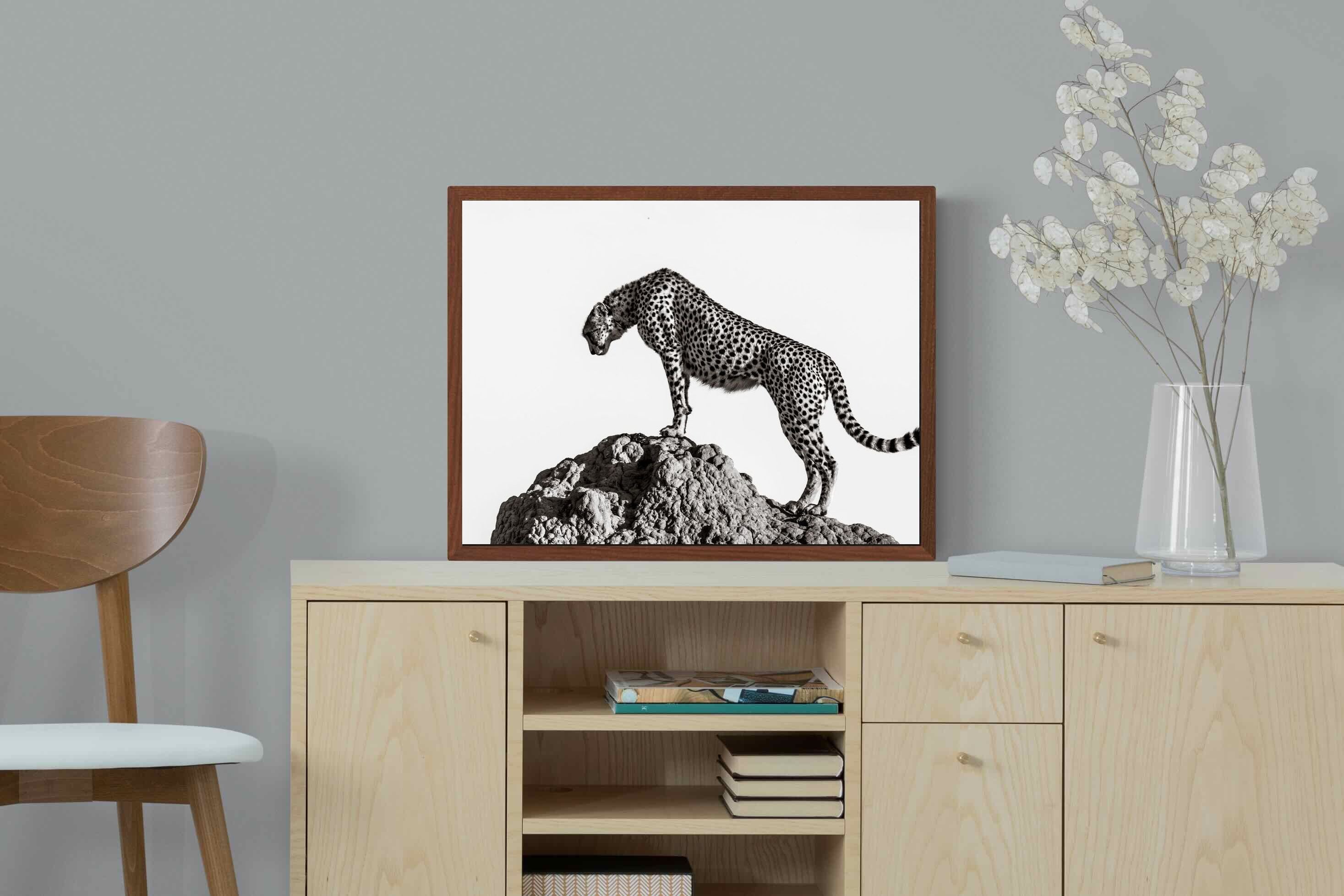 Pixalot ® Cheetah's Outlook