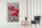 Pixalot Chrysanthemums