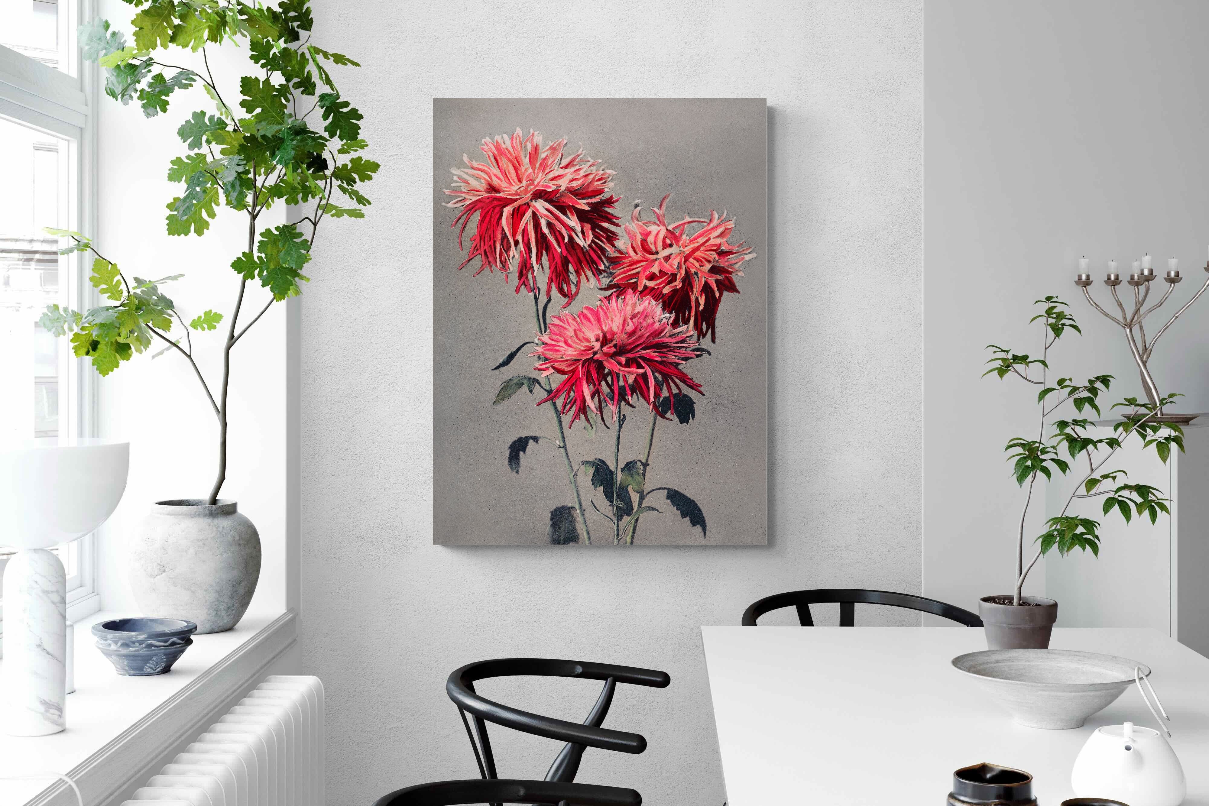 Pixalot Chrysanthemums