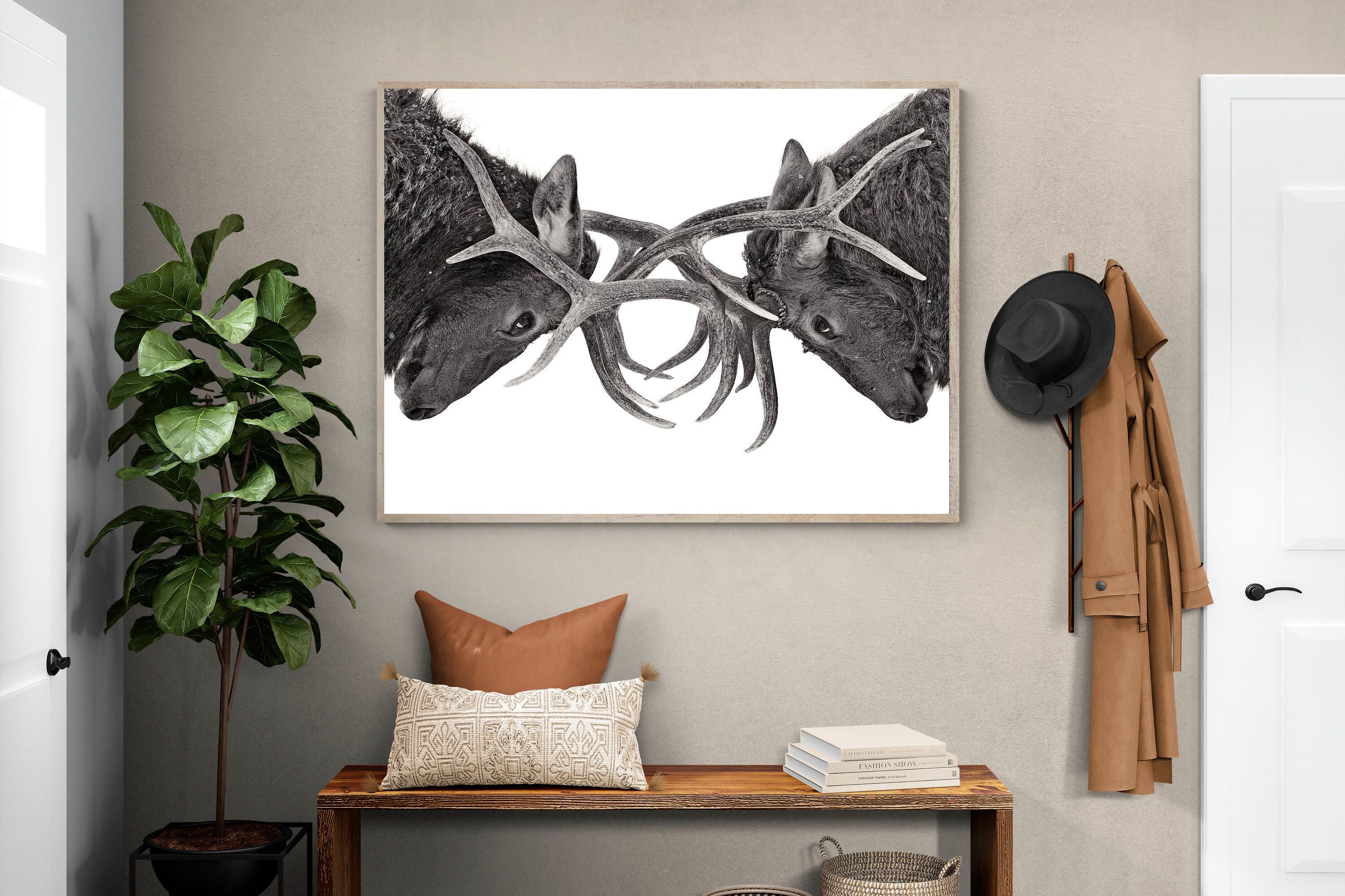 Pixalot Clash of Kings