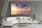 Pixalot ® Coconut Palms
