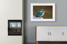 Pixalot Common Kingfisher