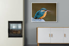 Pixalot Common Kingfisher