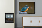 Pixalot Common Kingfisher