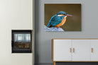 Pixalot Common Kingfisher