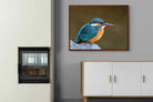 Pixalot Common Kingfisher
