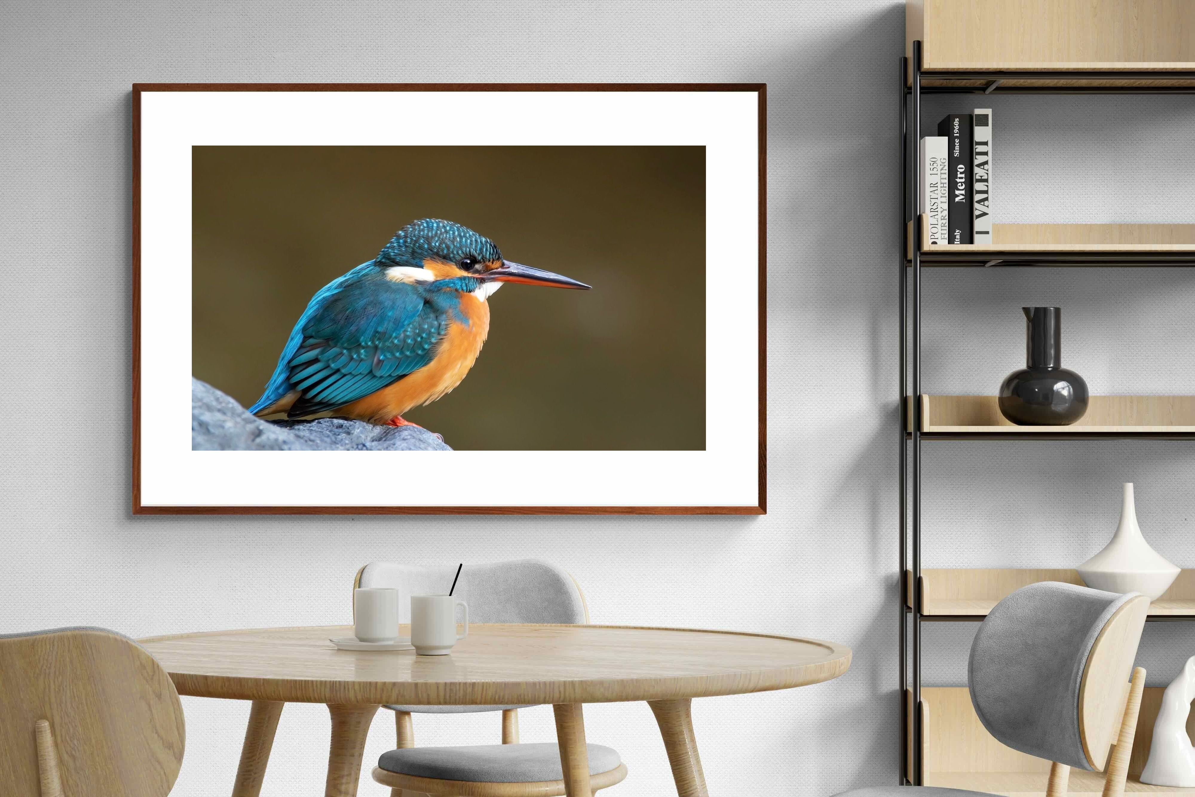 Pixalot Common Kingfisher