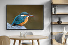 Pixalot Common Kingfisher