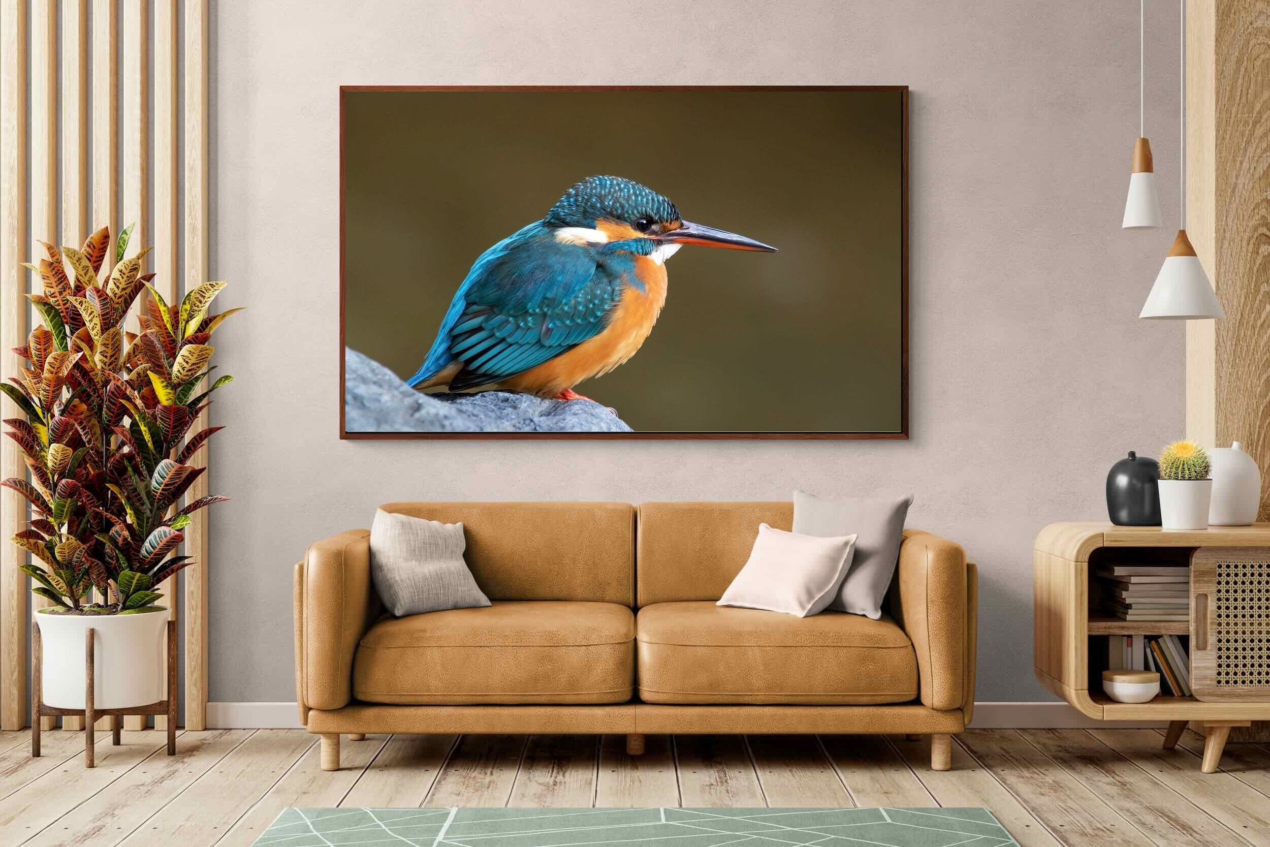 Pixalot Common Kingfisher