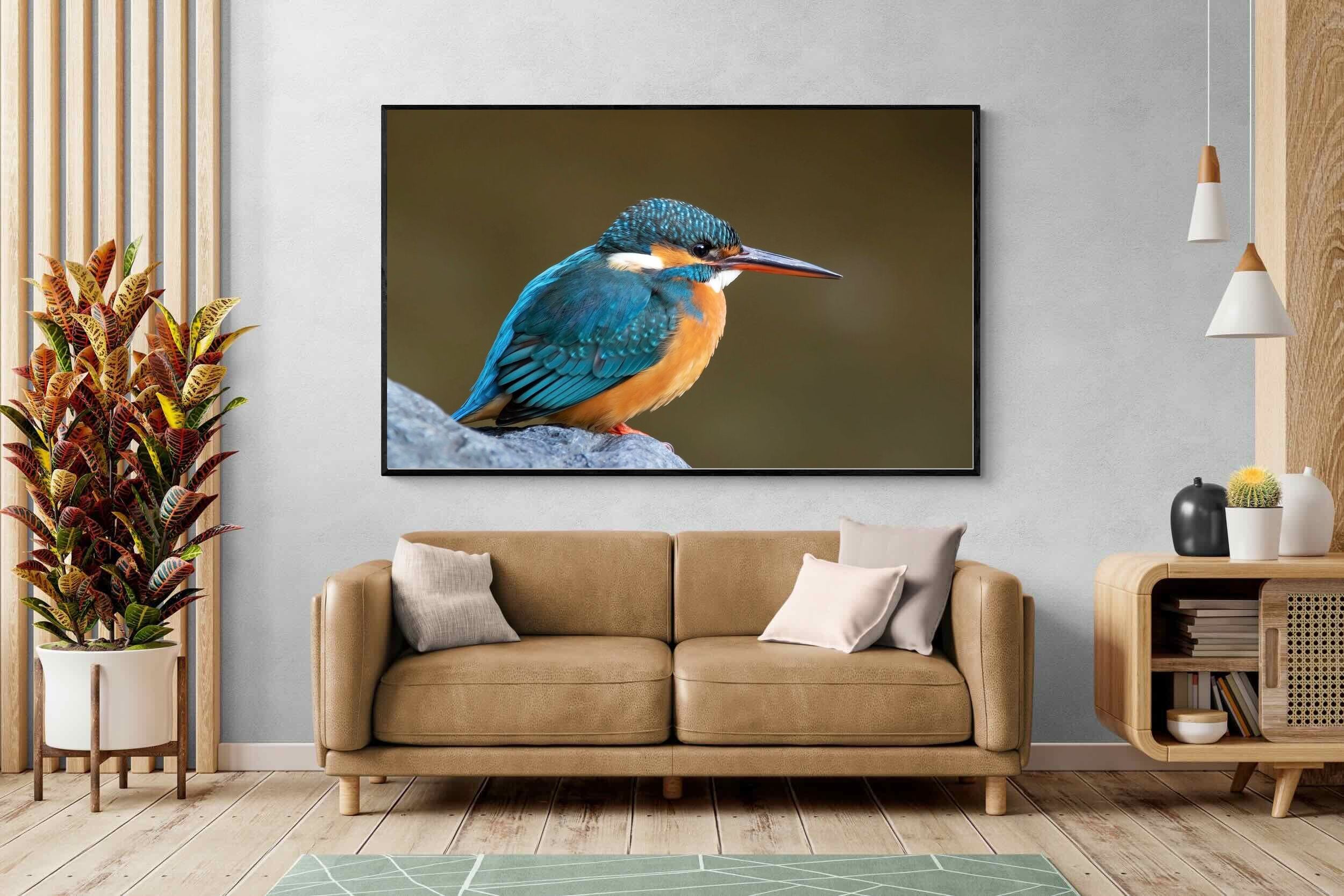 Pixalot Common Kingfisher