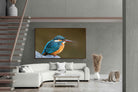 Pixalot Common Kingfisher