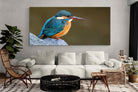 Pixalot Common Kingfisher