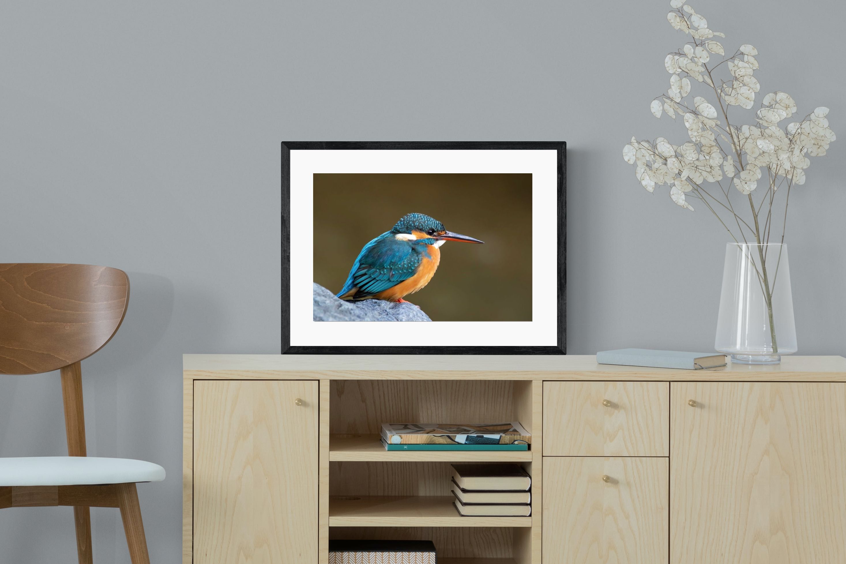 Pixalot Common Kingfisher