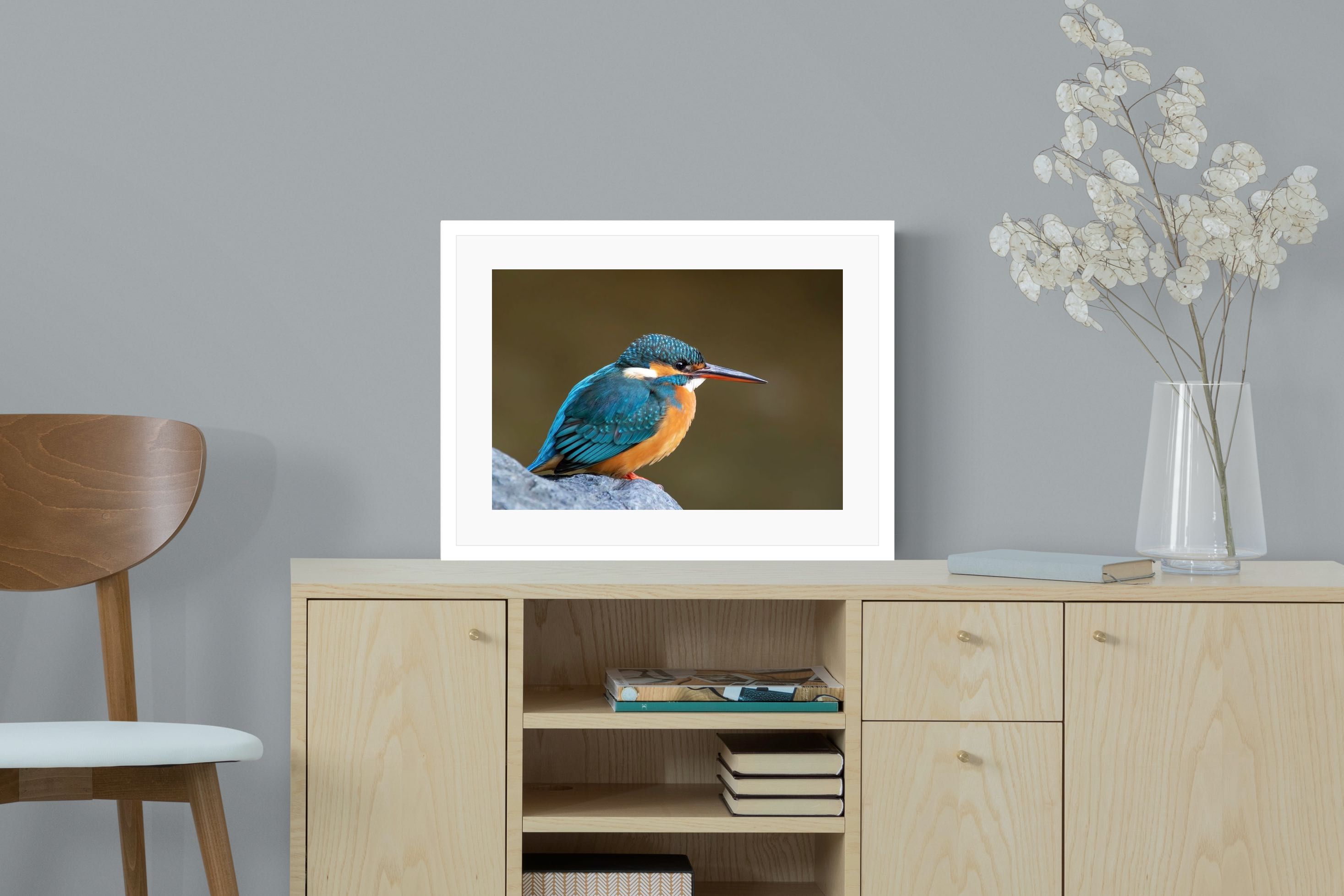 Pixalot Common Kingfisher