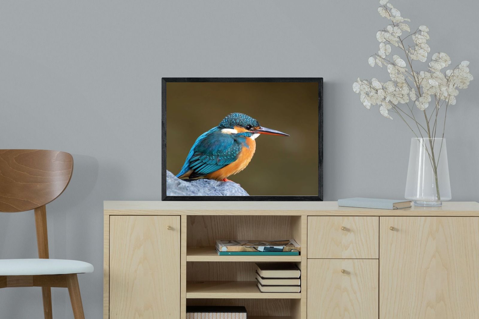 Pixalot Common Kingfisher