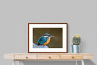 Pixalot Common Kingfisher