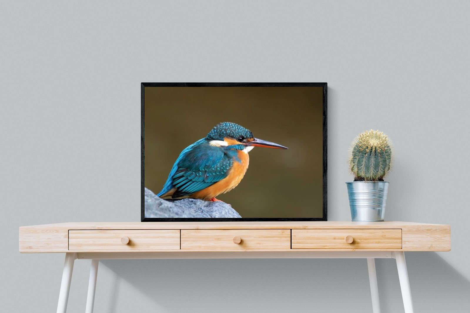 Pixalot Common Kingfisher