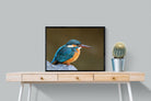 Pixalot Common Kingfisher
