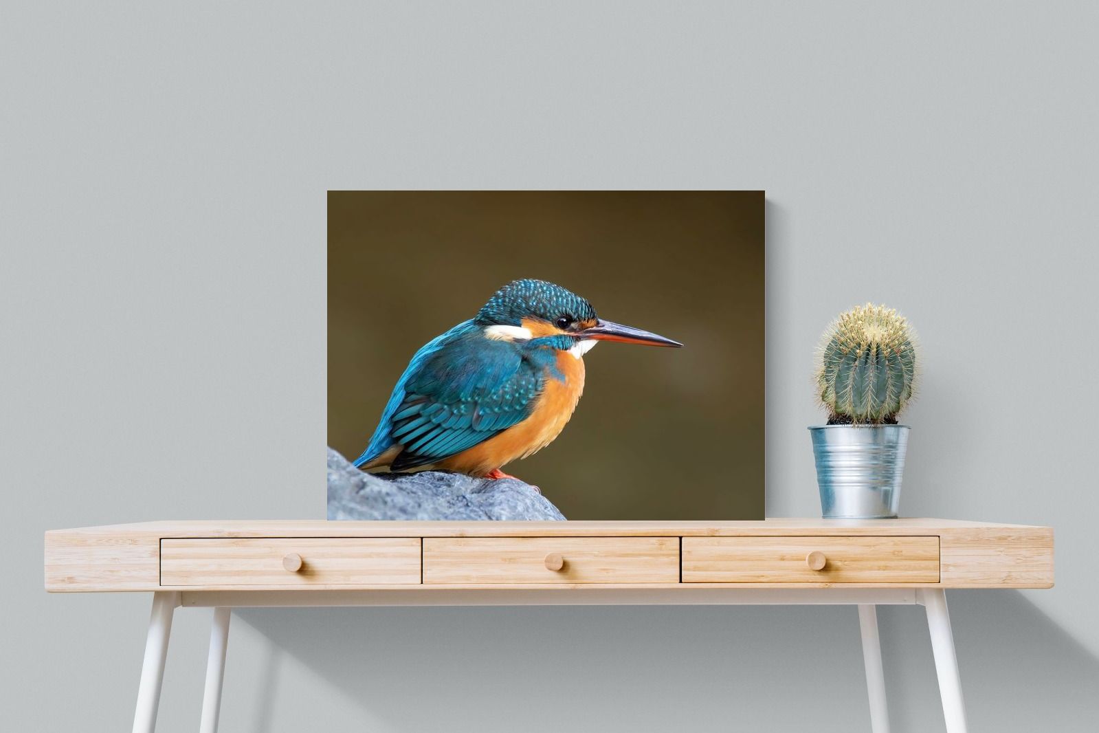 Pixalot Common Kingfisher