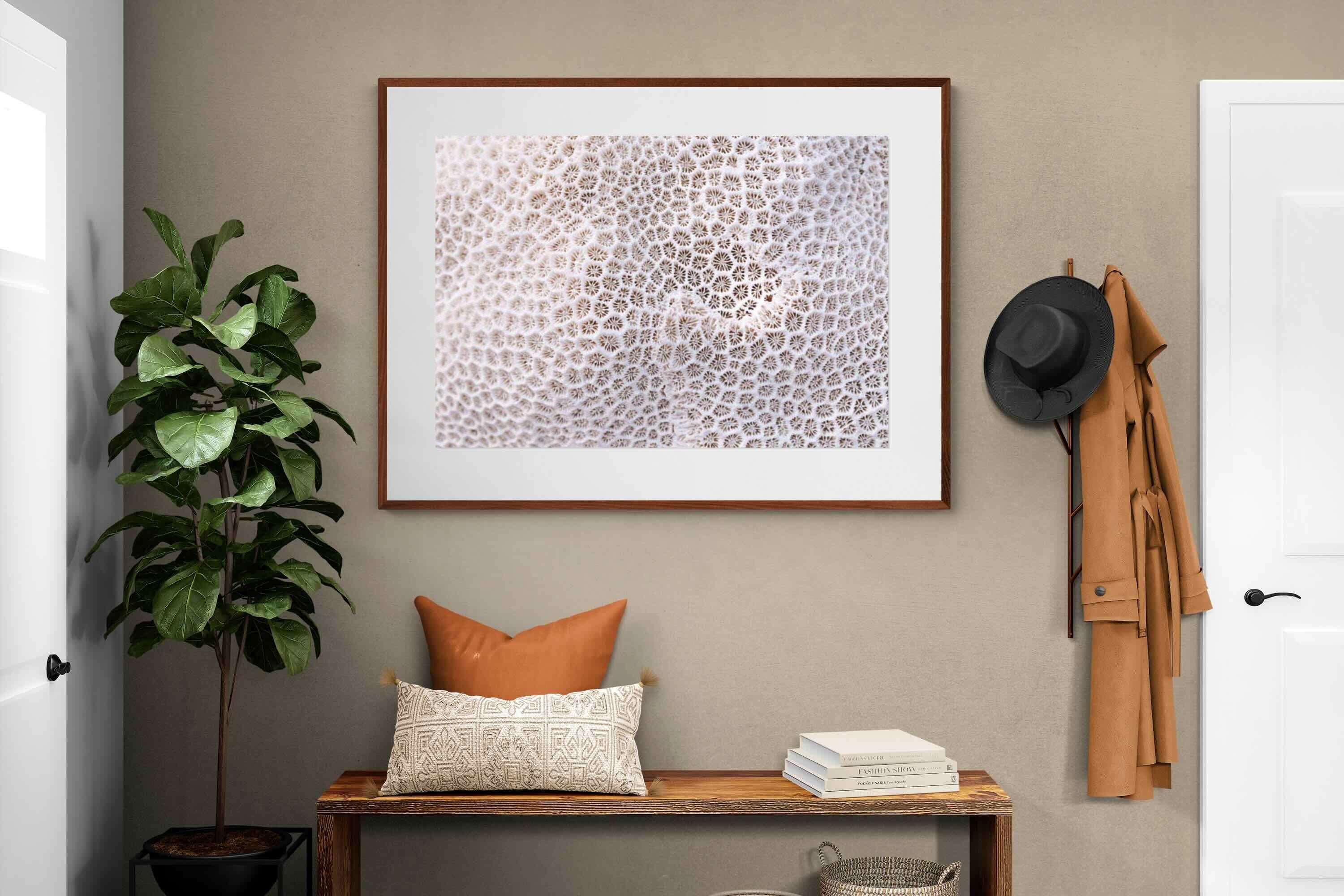 Pixalot ® Coral