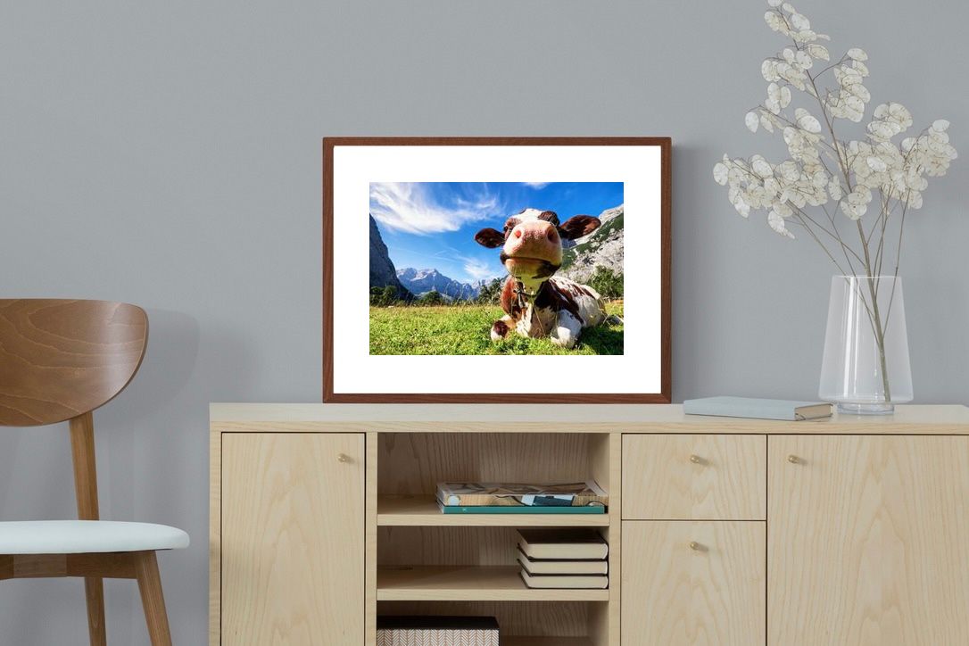 Pixalot ® Cow