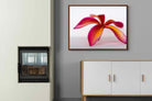 Pixalot ® Crimson Flora