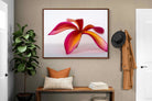 Pixalot ® Crimson Flora