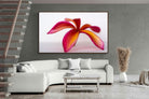 Pixalot ® Crimson Flora