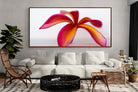 Pixalot ® Crimson Flora