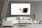 Pixalot ® Curious Nguni