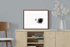 Pixalot ® Curious Nguni