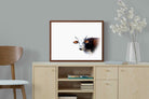 Pixalot ® Curious Nguni