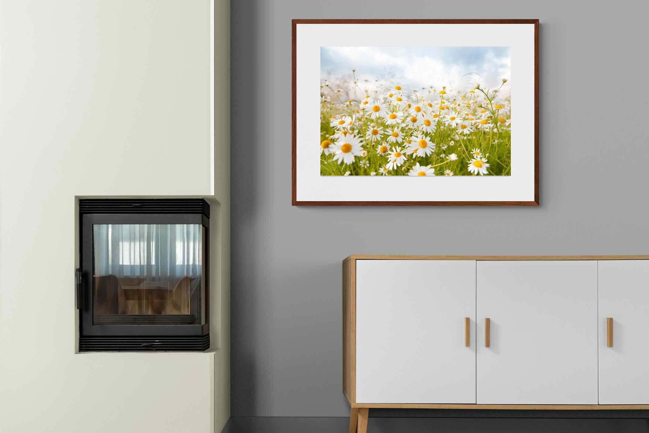 Pixalot ® Daisies