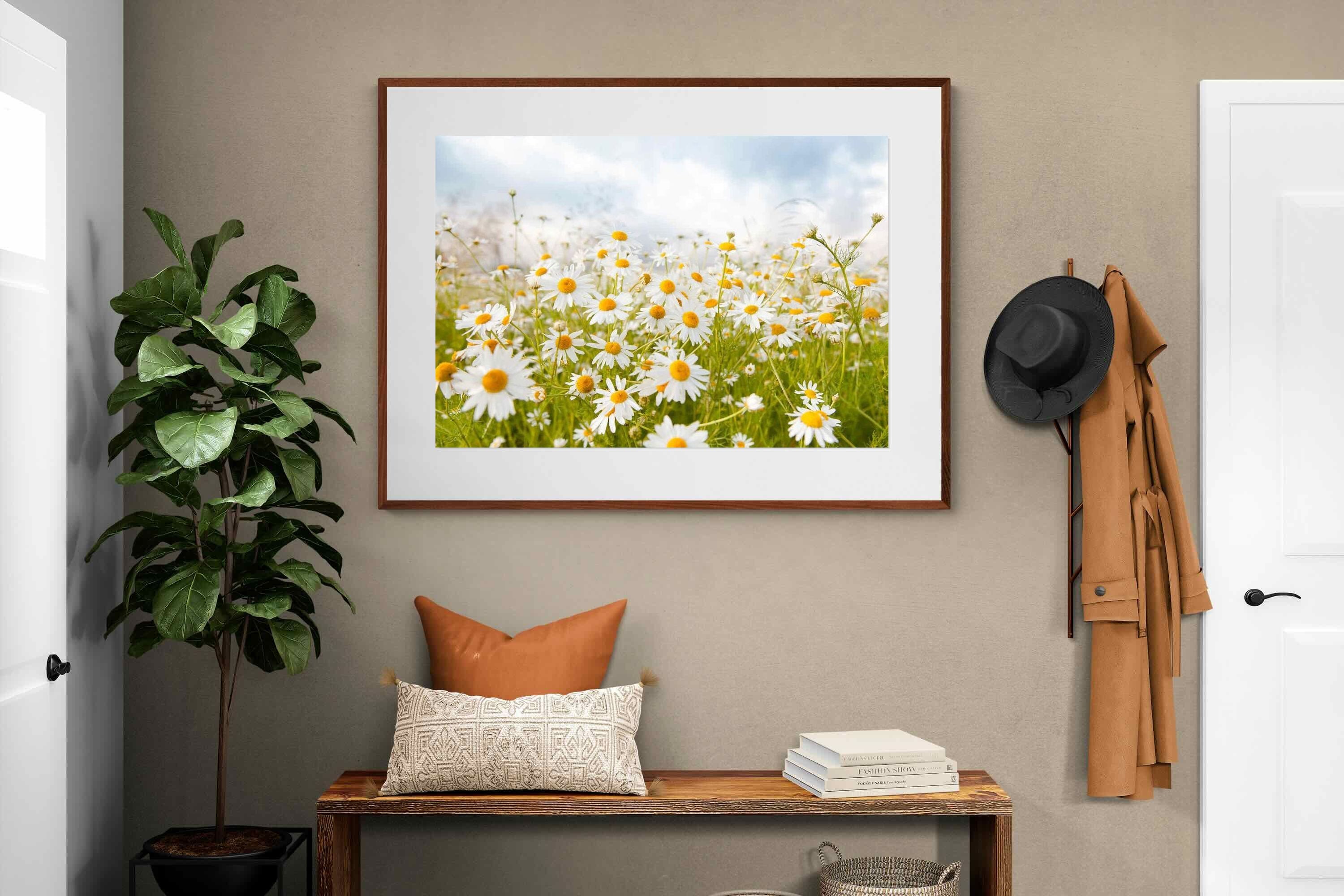 Pixalot ® Daisies